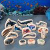 73566 tickit Wooden Sea Life Blocks - Pk15
