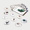 32018 Specimen Stones: Bugs - Pk9
