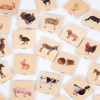73406 tickit Domestic Animal Family Match - Pk28