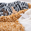 Furry Animal Print Fabric - Pk3
