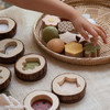 32032 Nature Feel & Find - 24 piece set