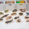 73570 tickit Wooden Reptile & Amphibian Blocks - Pk15