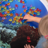 73135 tickit Translucent Colour Fish - Pk120