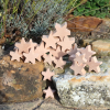 73530 tickit Natural Wooden Stars - Pk21