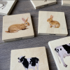 73406 tickit Domestic Animal Family Match - Pk28