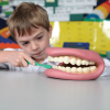 3083 tickit Giant Teeth Dental Demonstration Model