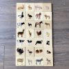 73406 tickit Domestic Animal Family Match - Pk28