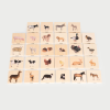 73406 tickit Domestic Animal Family Match - Pk28