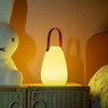 Sensory Glow Lanterns Pk6