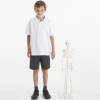 03064 tickit Half-Scale Skeleton