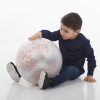 75045 tickit Constellation Ball