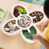 32024 Loose Parts Organic Wooden Trays - Pk3