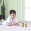 76143 PolarB Hedgehog Sorting Wheel
