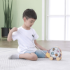 76143 PolarB Hedgehog Sorting Wheel
