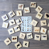 73406 tickit Domestic Animal Family Match - Pk28