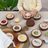32032 Nature Feel & Find - 24 piece set