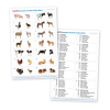 73406 tickit Domestic Animal Family Match - Pk28