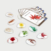 32020 Specimen Stones: Plants - Pk9