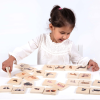 73406 tickit Domestic Animal Family Match - Pk28