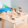 73598 tickit Wooden Domestic Animal Blocks - Pk15