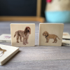73406 tickit Domestic Animal Family Match - Pk28