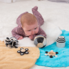 54611 SiliSoft Curiosity Set (Black & White)