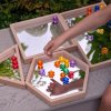 Wooden Shape Mirror Trays - Pk4