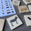 73406 tickit Domestic Animal Family Match - Pk28