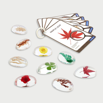 32020 Specimen Stones: Plants - Pk9