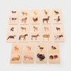 73406 tickit Domestic Animal Family Match - Pk28